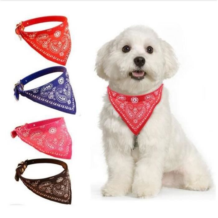 حفلة موسيقية مزيج المجرف Collier Chat Bandana Cartersguesthouses Com حفلة موسيقية مزيج المجرف Collier Chat Bandana Cartersguesthouses Com