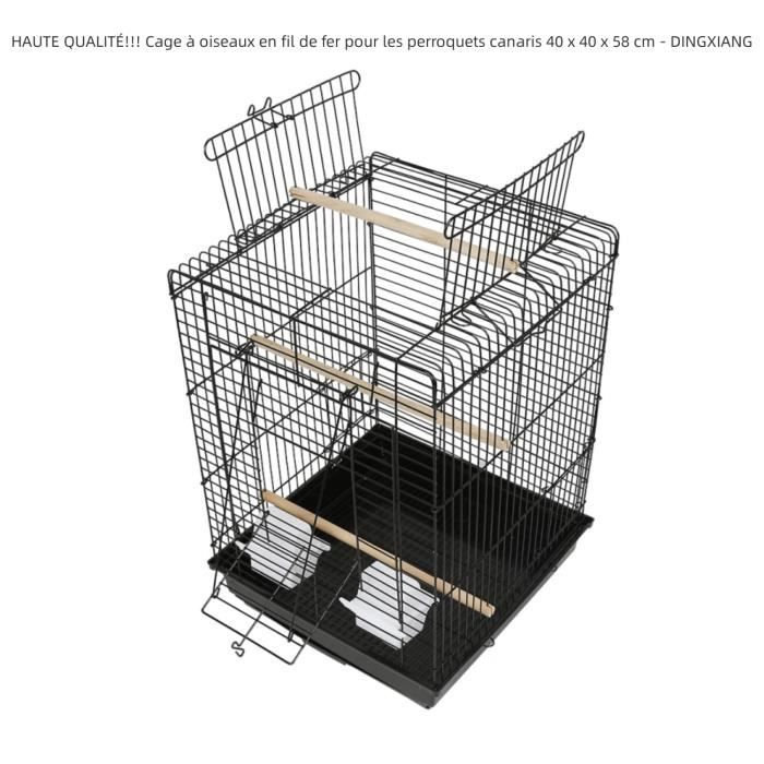 Meilleurs prix pour Cage à oiseaux - DINGXIANG - Perroquet et canaris - 40 x 40 x 58 cm - Acier et ABS - Montage facile