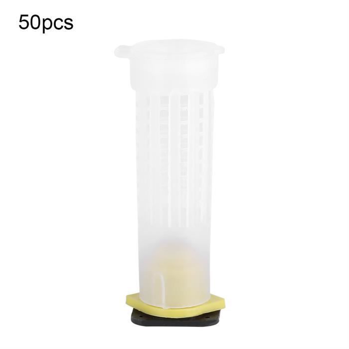 10 Cages à Reines En Plastique Pour Apiculture - Élevage De Reines Abeilles - Matériel Apiculteur