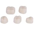 50pcs / boîte Couronne dentaire dents de molaire couronne de résine de soins bucco-dentaires réalistes temporaires dos dents-DBA-1