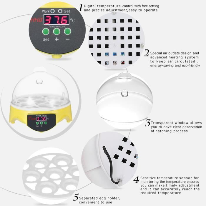 F Fityle Incubateur Oeufs 9 Œufs LED - Couveuse Électrique Automatique Pour Volaille