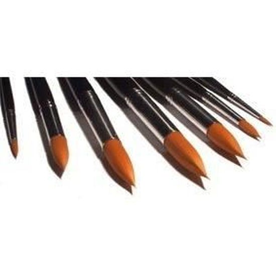 Lot De 6 Pinceaux D'artiste Pour Acrylique Et Peinture à L'huile - 6