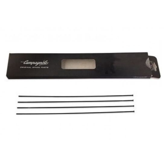 Rayon Arrière Gauche Campagnolo D’origine – EURUS / SHAMAL – 276 Mm – Neuf De Stock