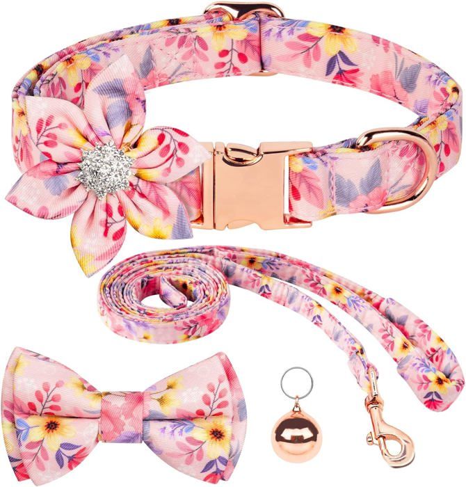 Harnais Réglable Laisse Motif Fruit 1 5 M Long Matière