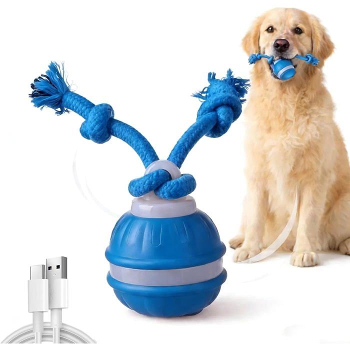 Jouet interactif pour chien – Balle électrique roulante automatiquement – Avec corde et sons d’oiseaux – Convient aux chiens petit