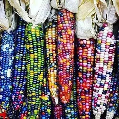 10pcs 3mm 5m Ligne Colorée D'alumine Pour La Forme Manuelle De