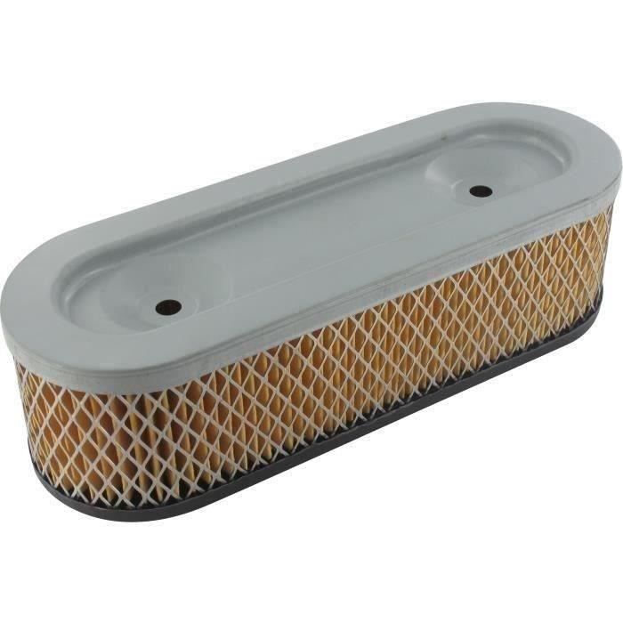 Filtre à air BRIGGS ET STRATTON 399968