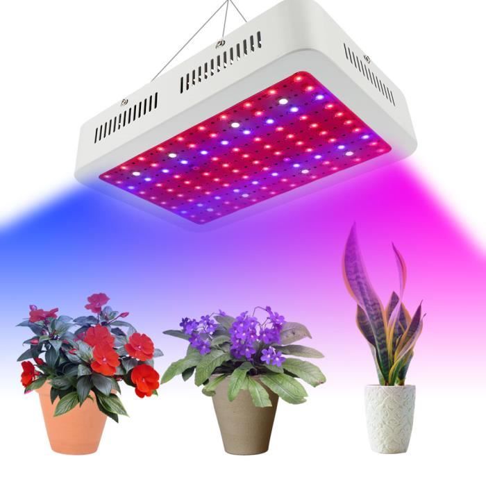 lampe a uv plante
