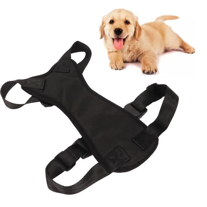 Gilet Rafraîchissant Canada Pooch Chill Seeker Pour Chien - Aqua, Taille 8, Maille Respirante !