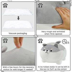 Voiakiu Mignon Snack Oreiller Animaux en Peluche, Jouets Pudding Dé