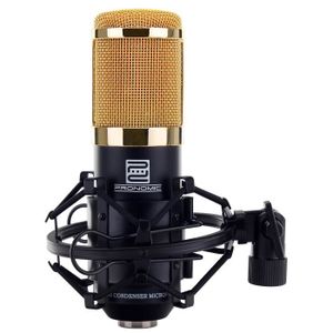 PINNKL Microphone Microphone d'enregistrement de Studio à