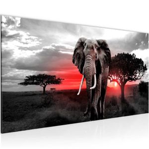 Décoration murale Elephant en acier thermolaqué sur mesure - Fabrication  française