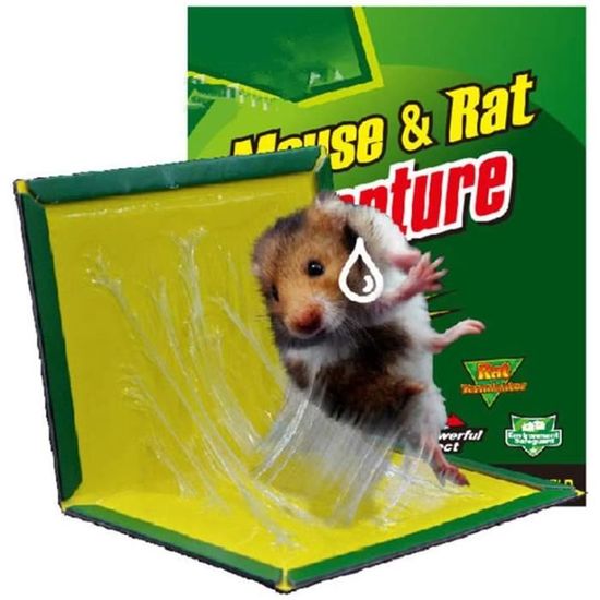 Piege a glue pour rat et souris  8 plaques collante pour rats et