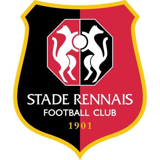 Sticker Autocollant Stade Rennais Fc Hauteur Achat Vente Stickers Sticker Autocollant Stade R A Petit Prix 3663439018731 Cdiscount
