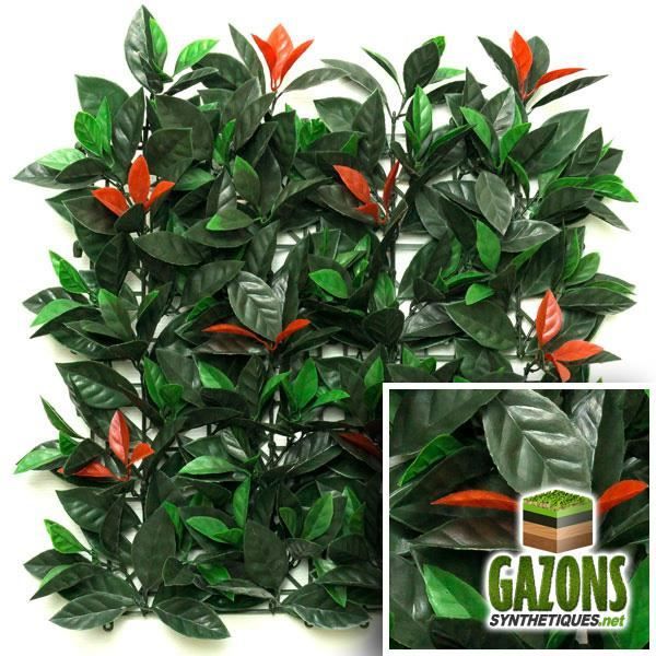 Feuillage Artificiel Photinia 1m x 1m
