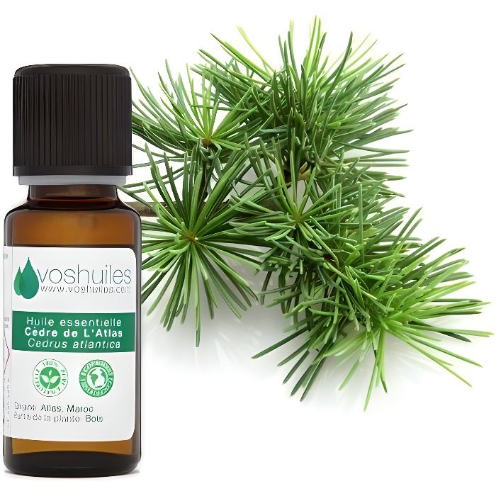 Huile Essentielle de Cèdre de L'Atlas 10ML