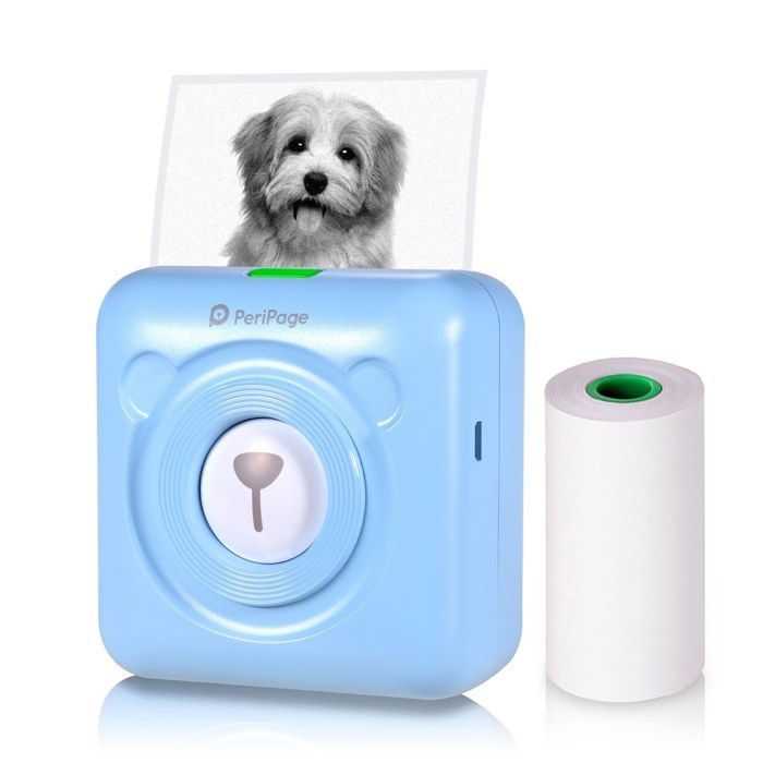 PeriPage Mini Imprimante Thermique Bluetooth - Sans Encre - Pour Photos, Étiquettes, Notes - Compatible Smartphone, IPad, PC - 7
