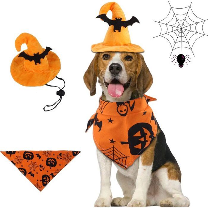 Costume Halloween pour chien - Chapeau jaune - Polyester - Déguisement fête carnaval animal de compagnie