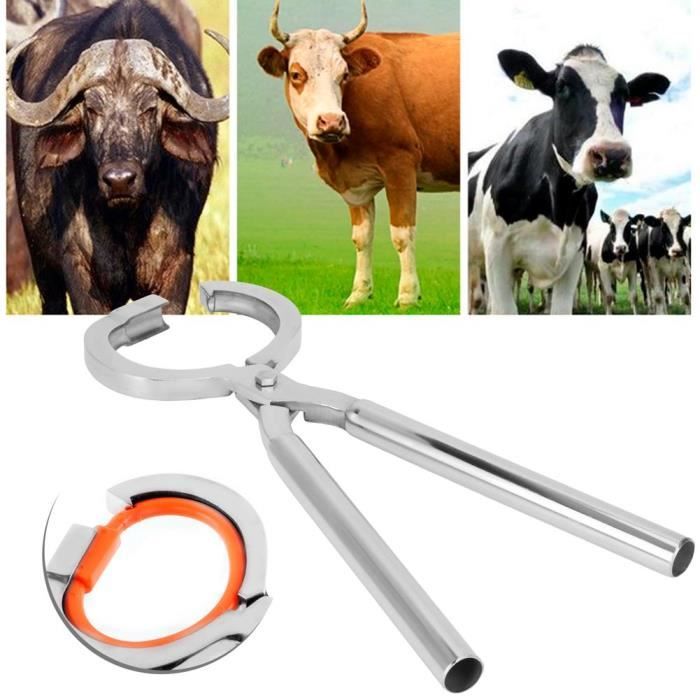 Pince à Nez Pour Bétail En Acier Inoxydable - Avec Chaîne De Guidage 13,8 Pouces, Pour Ferme, Ranch, Vétérinaire