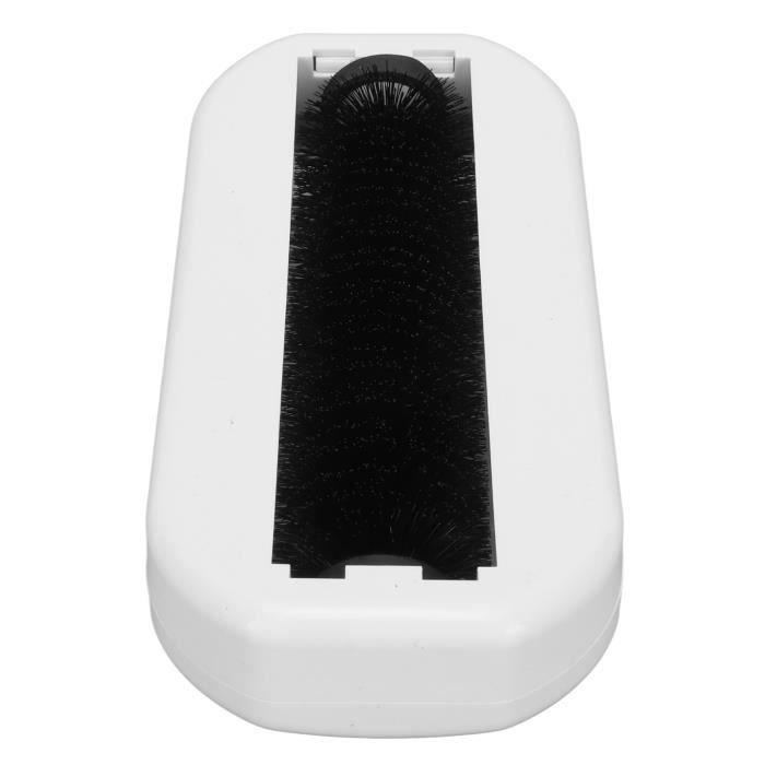 LAN Brosse À Rouleau Principal Brosse À Rouleaux Principale Pour