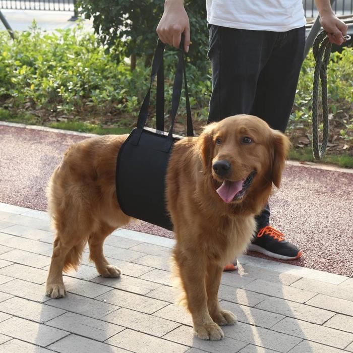 ZHA Support de chien Harnais de rééducation de levage et dassistance pour chien noir avec poignée pour aide canine (XL)