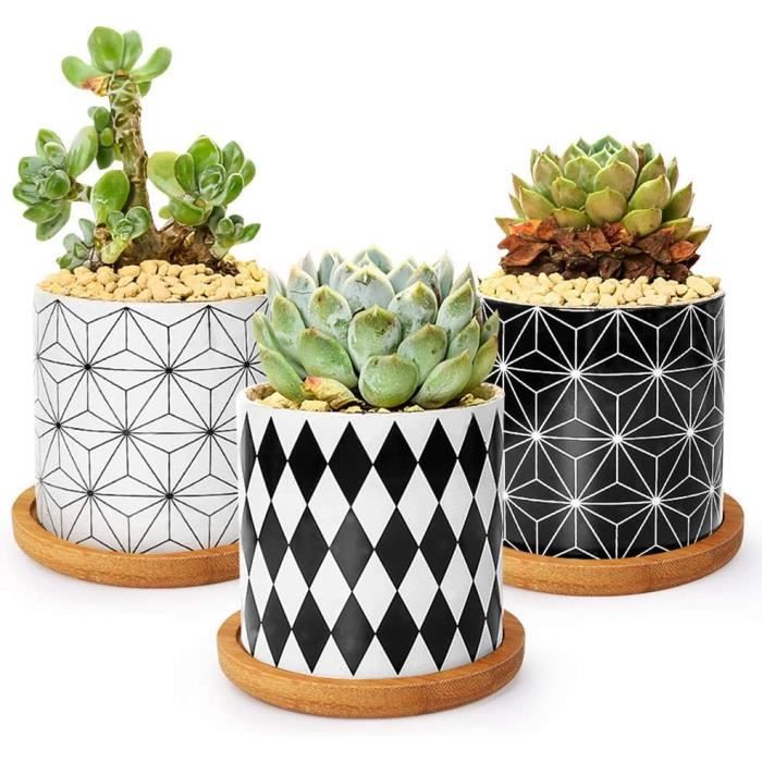 Vimin Lot De 4 Mini Arrosoirs Décoratifs - Pots Pour Succulentes, Petites Fleurs - Déco Maison, Jardin, Balcon, Mariage