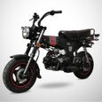 Mini Moto - DAX 50 - Black Edition - SKYTEAM - Noir Mat-3
