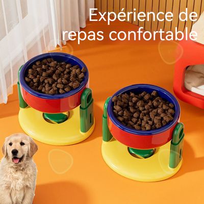 Bol Pour Chat Antidérapant BOL Bols Transparents Pour Chat Avec Support Pour Animaux De Compagnie Gamelle Pour Chat