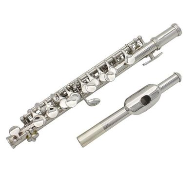 Accordeur Clip Pour Saxophone, Clarinette, Trompette, Flûte – Double Mode Micro Et Clip, écran Couleur, A4 Réglable 430-450Hz