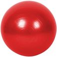 balle de gymnastique gym ballon grossesse fitness yoga ball anti-éclatement pilates chaise de bureau avec pompe 45cm 55cm 65cm 75c-0
