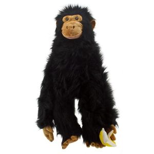 THÉÂTRE - MARIONNETTE Marionnettes Et Théâtres - The Puppet Company – Grands Primates Chimpanzé Marionnette
