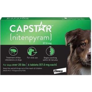 ANTIPARASITAIRE Elanco Capstar 57 mg Pour Grands Chiens | 6 Tablets