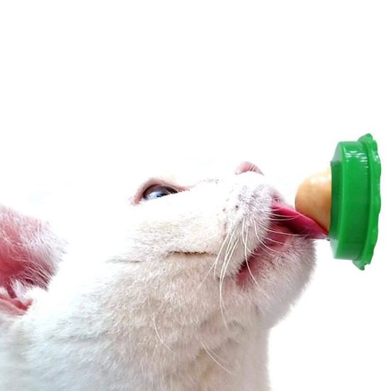 Casse Croute Sain Pour Chat Cataire Sucre Herbe Aux Chats Bonbons A Lecher Jouets Energetiques Pour Chat Chaton Produi Cdiscount