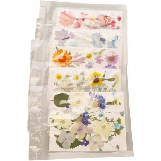 92 Fleurs Séchées Pressées Pour Résine, Vraies Feuilles