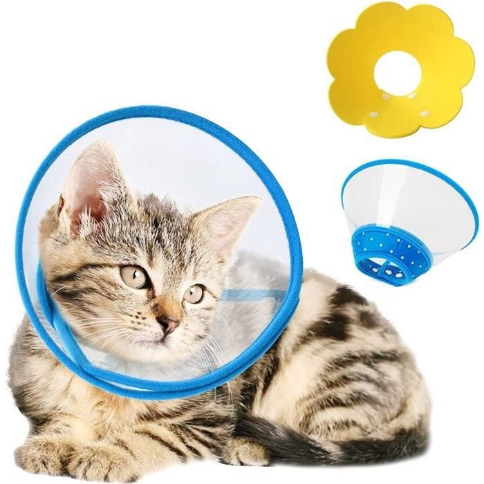 Protection Anti Morsure