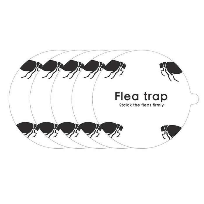 Lot de 30 pièges à mouches pour fenêtre, pour usage domestique