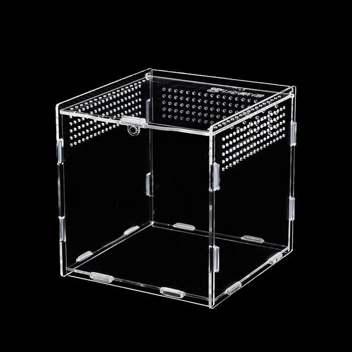 Terrarium En Acrylique Transparent 15x15x15 Cm - Pour Phasmes, Escargots, Petites Araignées, Reptiles Et Insectes - 14