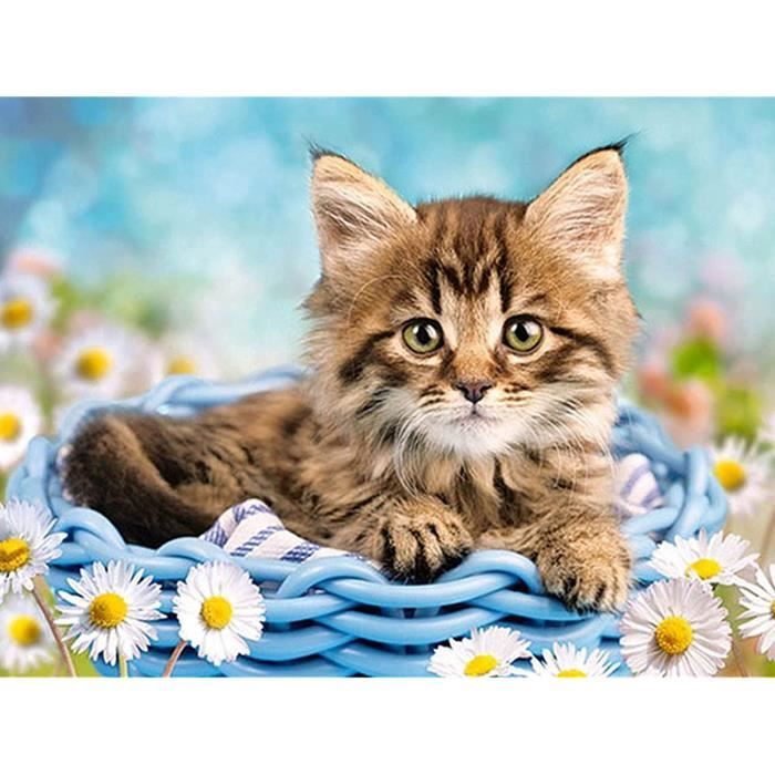 Poignée De Porte Avant Conducteur LED Cadillac Escalade - Couleur Moka Foncé Brossé, Fibre Carbone