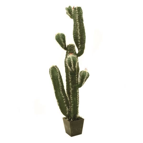 Cactus Mexicain Artificiel-123 cm