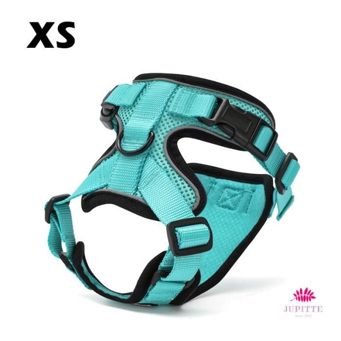 Comparer les prix de JupVierge Harnais Chat Petit Chien Laisse Harnais Chaton Réglable Vert XS