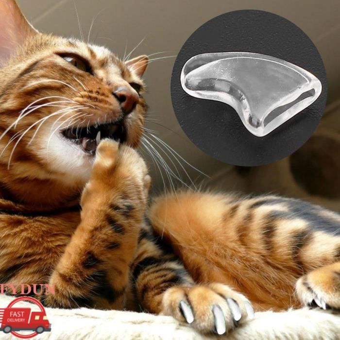 Meilleurs prix pour FYDUN 100 Protections dOngles pour Chat Capsules de Griffes de Chat Couvre Griffes pour Chats
