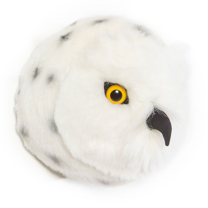 Zoo de la Flèche | Harfang des neiges