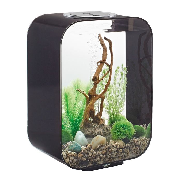 Meilleurs prix pour OASE - Aquarium décoratif 15l avec cadre noir - biorb life - life 15 mcr black