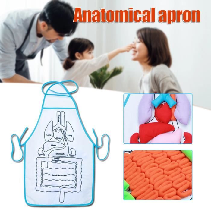 Ensemble de 8 Mini Modèles d'Organes Humains Outils d'Apprentissage Anatomie et Physiologie Kits d'Apprentissage Scientifique pour Enfants Étudiants