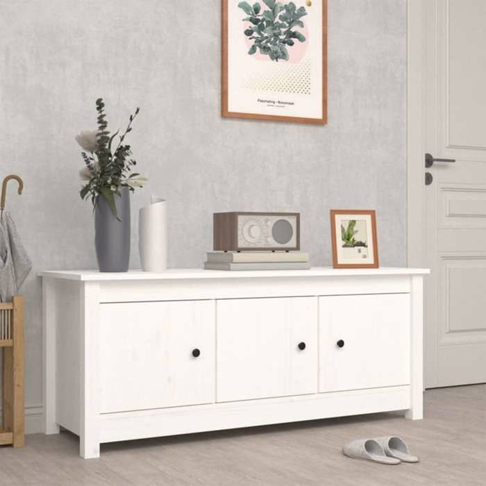 vidaXL Armoire à chaussures Blanc 110x38x455 cm Bois de pin massif 814600