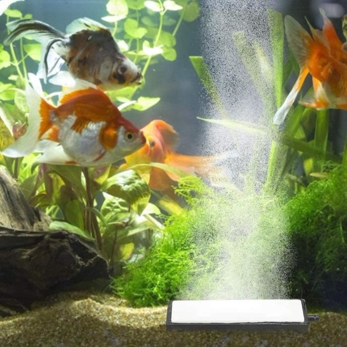 1 ensemble de pompe à air d'aquarium avec pierre d'air fournir de