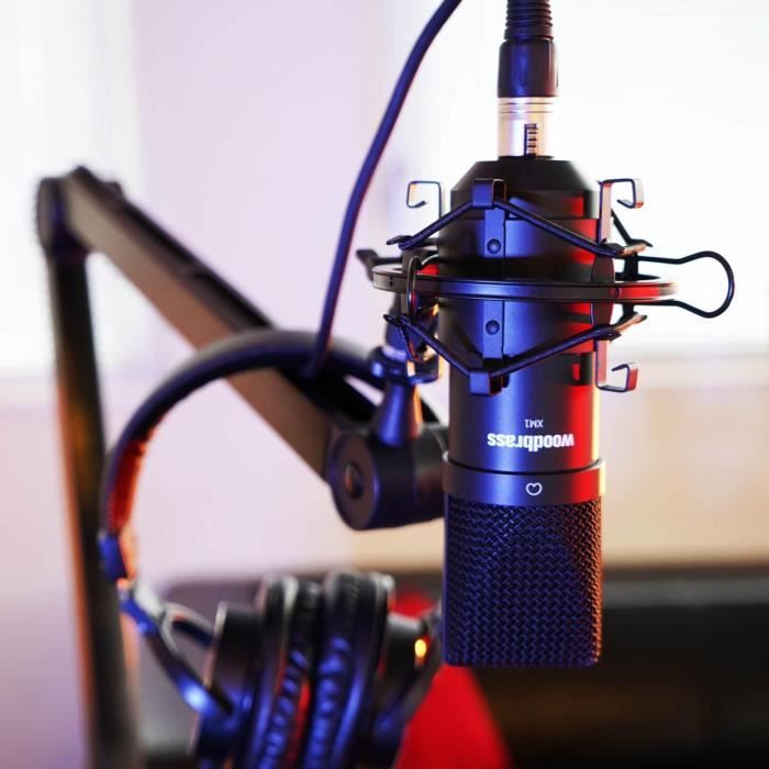 Micro chant studio AT2035 Audio-Technica à condensateur cardioïde