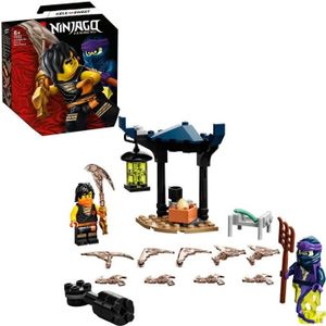 ASSEMBLAGE CONSTRUCTION LEGO® 71733 NINJAGO® Cole contre le guerrier fantôme, jeu de bataille épique comprenannt 2 miniatures de guerriers ninja