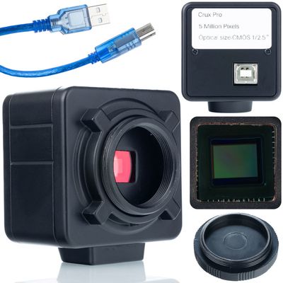 Microscope Numérique Portable 500x – écran IPS 2