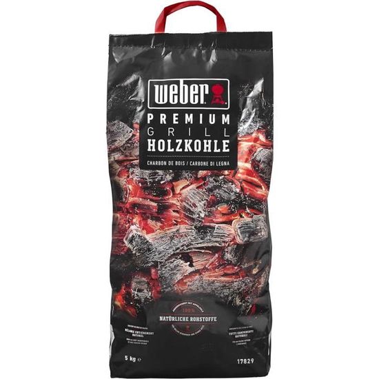 Profagus Charbon De Bois Hêtre 2,5 Kg - Écologique, Braises Ardentes, Arôme Subtil Barbecue
